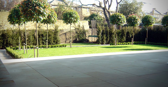 Looking at the garden from the house, lawn surrounded with trees