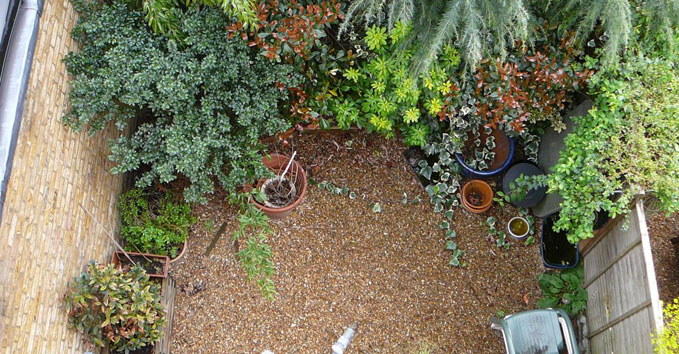 Small courtyard garden